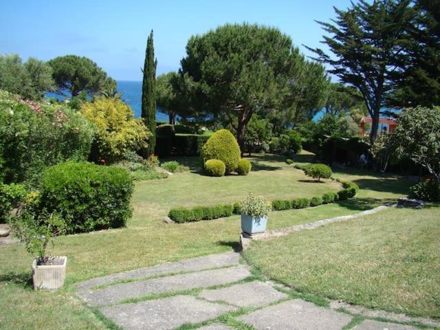 Villa I Merli Nous Contacter Avant Reservation Saint-Florent  Exteriör bild